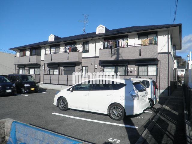 ���m���������s�V������̓c�Q�k�c�j