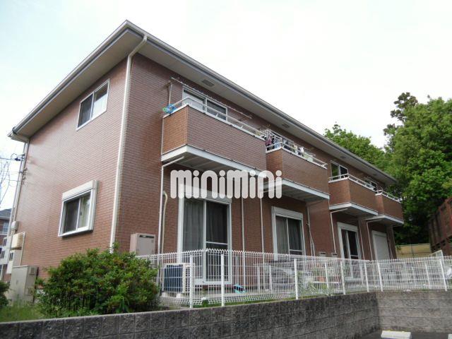 ���S���ː��@���w�i�k��12���j