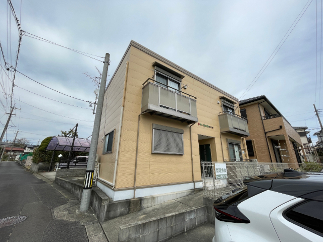 ���S���ː��@�������w�i�k��25���j