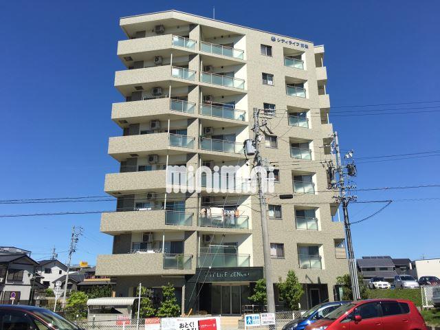 �I�X�X�������ʐ^