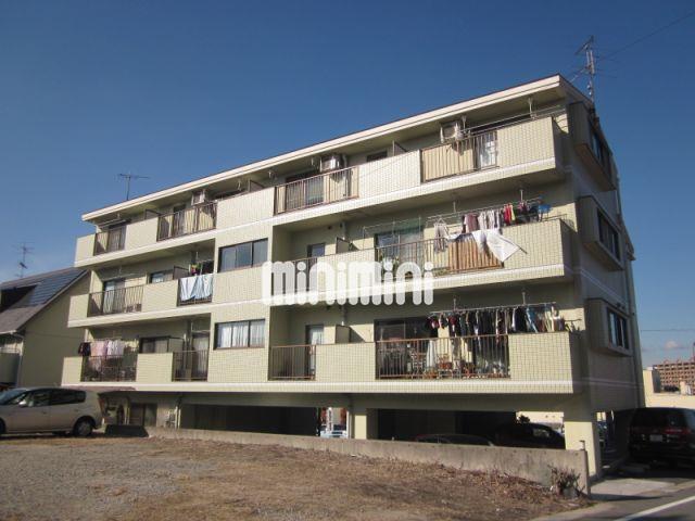 ���m�����i�s�h�P���ڂP�q