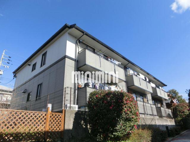 �n���S�ߕ����@�Ԓr�w�i�k��37���j