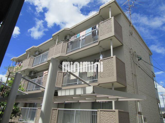 ���S�L�c���@�򐅉w�i�k��31���j