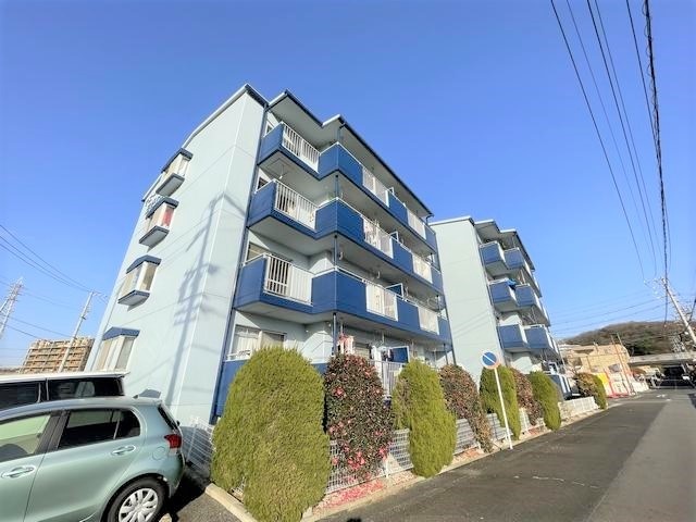 ���S�L�c���@�����w�i�k��24���j