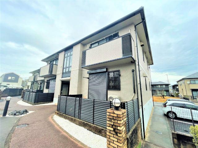 ���S�L�c���@�򐅉w�i�k��30���j