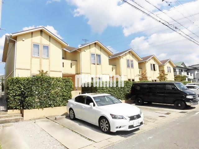 ���S�L�c���@�O�D���u�w�i�k��24���j�A���S�L�c���@�O�D���u�w�i�o�X8�� �E�΋u������A �k��8���j