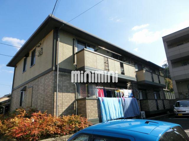 ���m���݂悵�s�O�D���V���Q�k�c�j