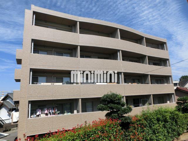 ���S�L�c���@�����w�i�k��65���j