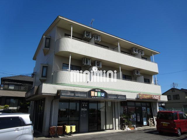 ���S�L�c���@���i�w�i�k��24���j