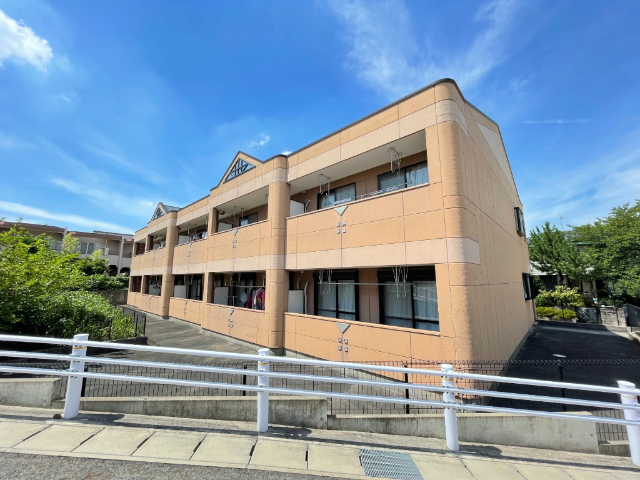 ���S�L�c���@���i�w�i�k��45���j