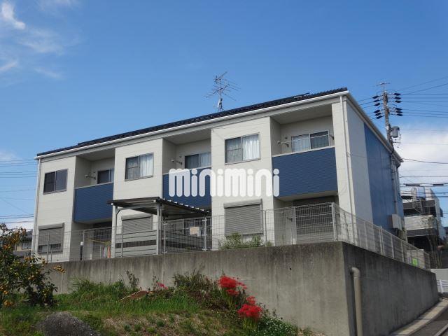 ���S�L�c���@���i�w�i�k��43���j