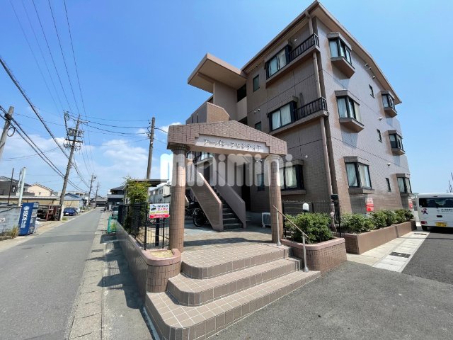 �o�X�E�����i�k��8���j