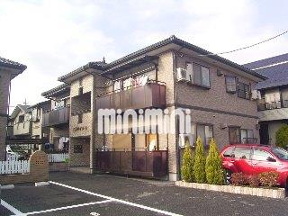 �I�X�X�������ʐ^