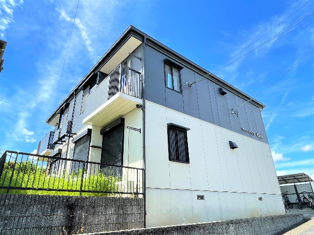 ���S�L�c���@���i�w�i�k��40���j