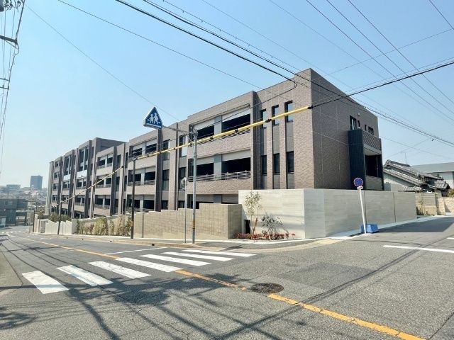 �n���S���ʐ��@����^���ꐼ�w�i�k��20���j