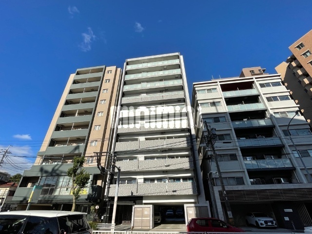 �n���S���R���@�o���R�w�i�k��5���j