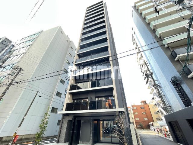 �I�X�X�������ʐ^