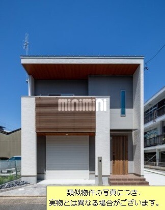 �I�X�X�������ʐ^