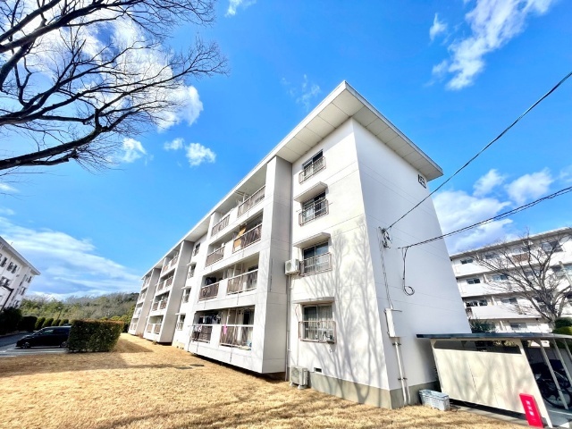 ���m�����É��s�V����v���P���ڂR�k�c�j