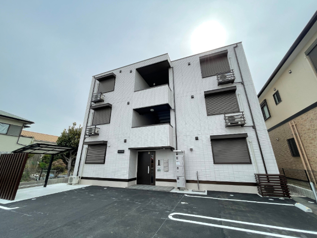 ���C���{���@�O�͈���w�i�k��18���j