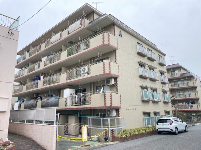 �n���S���ʐ��@�q�k�w�i�k��22���j