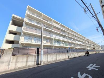 �n���S������@��������w�i�k��9���j