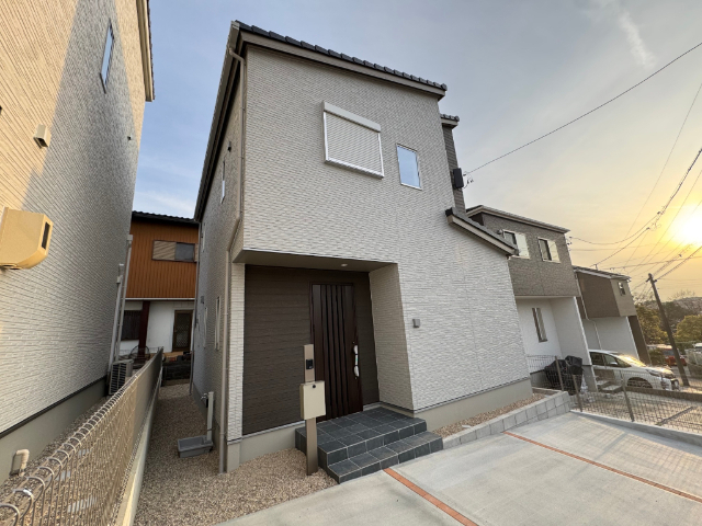 ���C���{���@��卂�w�i�k��25���j