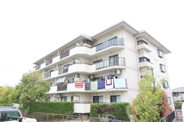 ���S�O�͐��@�k�V��w�i�k��28���j