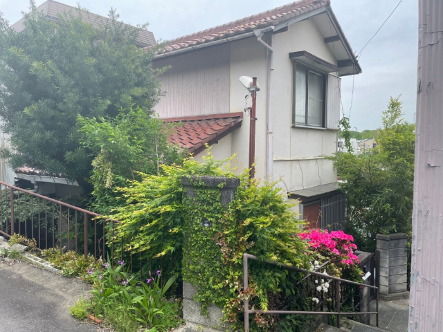 ���C���{���@�卂�w�i�k��13���j