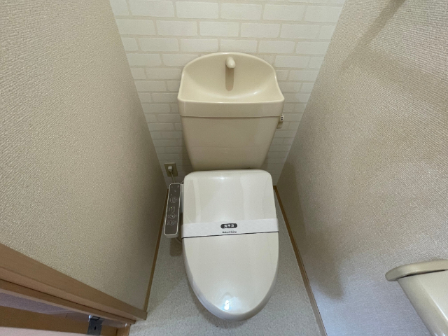 ����5