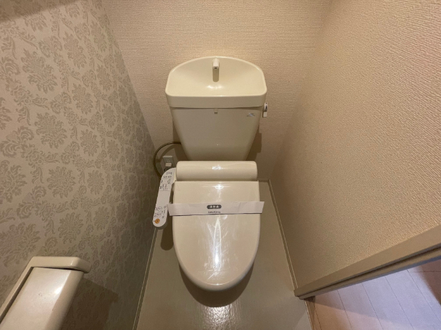 ����5