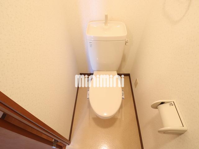 ����5
