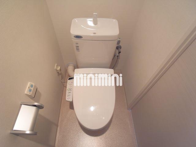 ����6