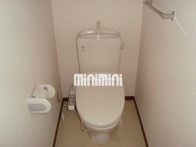 ����5