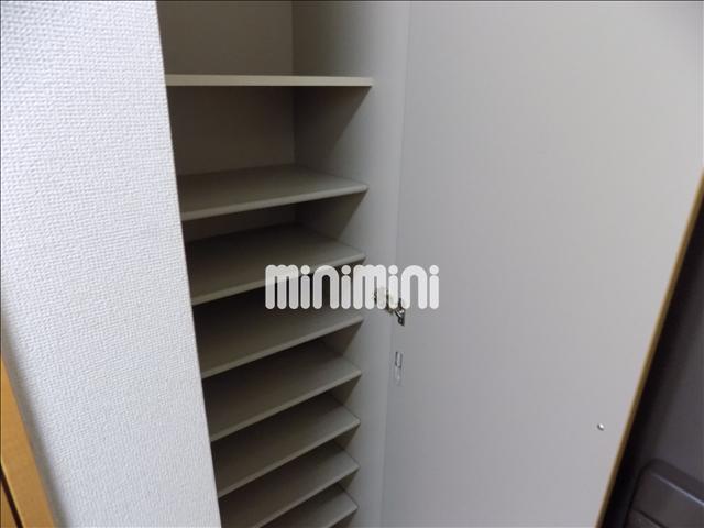 ����11