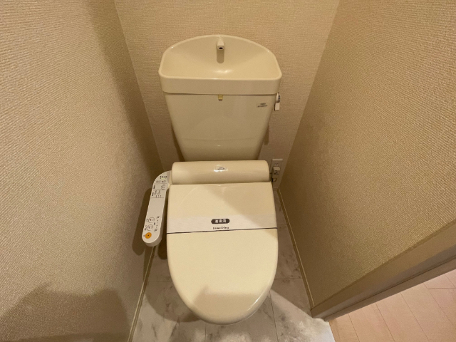 ����5