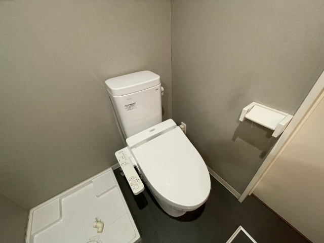 ����6