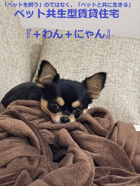 ����1