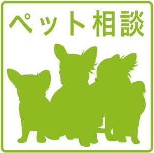 内観3