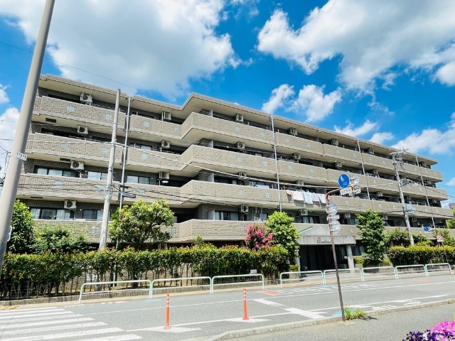 �Ó�V�h���C��������@�{���w�i�k��8���j