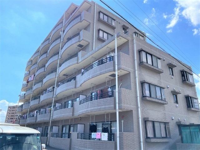 �Ó�V�h���C��������@�{���w�i�k��5���j