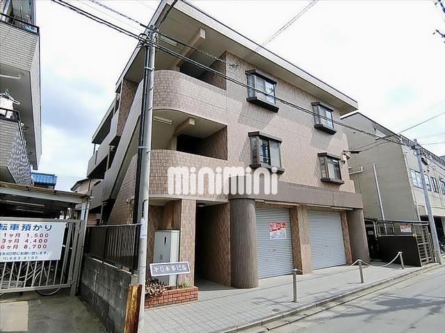 ���l���k�E���ݐ��@��{�w�i�o�X25�� �E���n���A �k��5���j