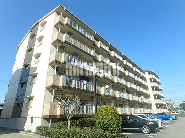 �鋞���@�^��{���w�i�k��10���j