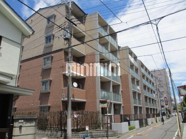 ���l���k�E���ݐ��@�Y�a�w�i�k��12���j