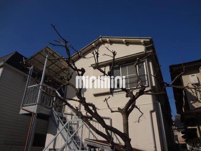 ���l���k�E���ݐ��@������w�i�k��19���j