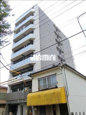 �I�X�X�������ʐ^