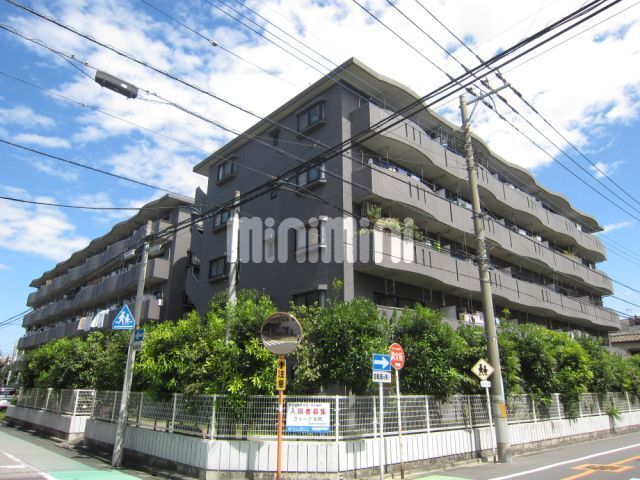 �鋞���@�k�˓c�w�i�k��25���j