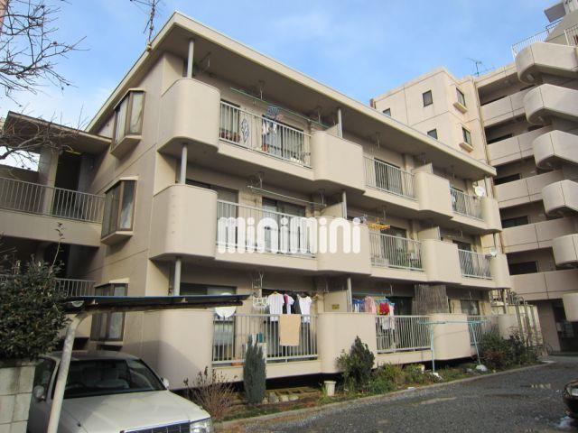 ��ʍ����S���@�씵���J�w�i�k��40���j