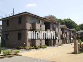 �����r�܁E�L�����@�Ђ΂�P�u�w�i�o�X10�� �E�L����A �k��14���j