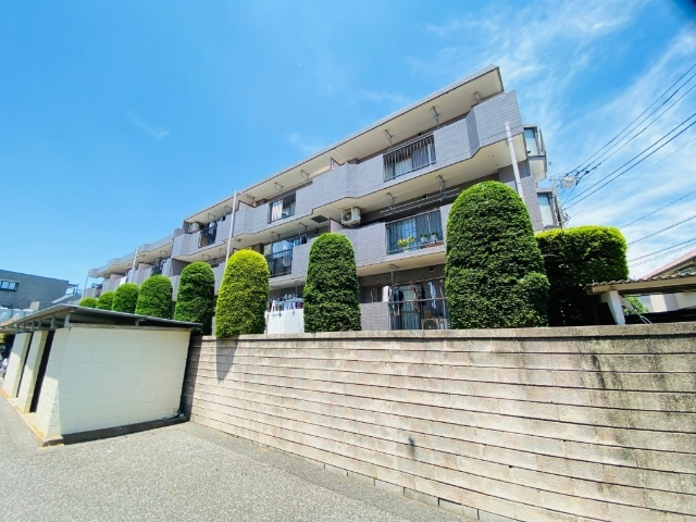 �����V�h���@�������w�i�k��20���j